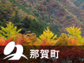 那賀町 那賀町