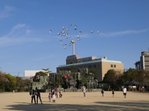 たぬき広場