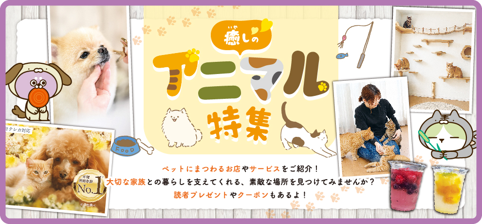 癒しのアニマル特集